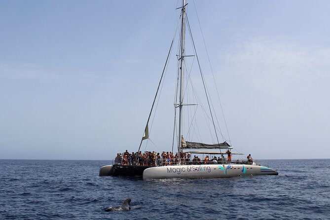 Fuerteventura: Magic Select Catamaran Trip With Food & Drinks - The Sum Up