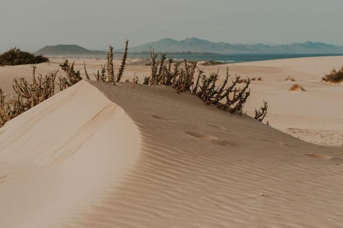 Fuerteventura North: 4h Tour for Cruise Passengers - Common Questions