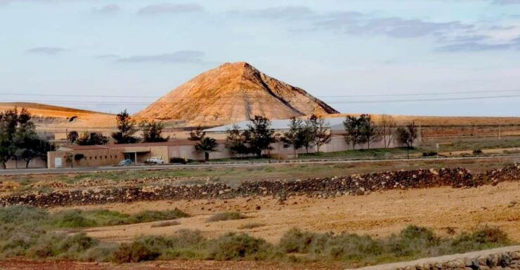 Fuerteventura: North of Fuerteventura for Cruise Passengers - Tour Experience Highlights for Visitors