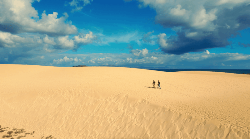 Fuerteventura North Tour With Tapas (Food) - Good To Know