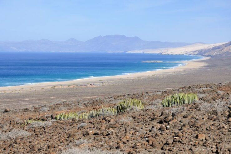 Fuerteventura: Off-Road Safari Tour - Activity Details