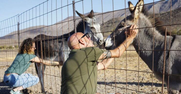 Fuerteventura Organic Farm Guided Tour W/ Optional Lunch - Tour Details & Duration