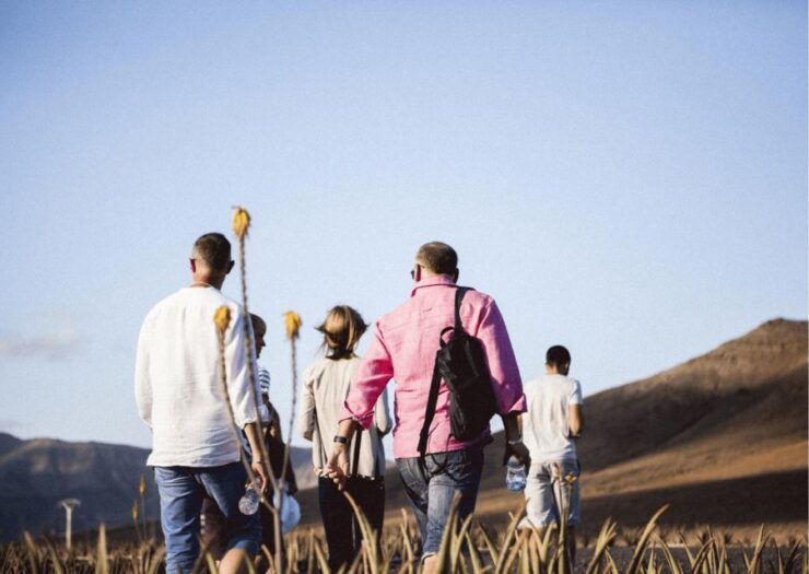 Fuerteventura Organic Farm Guided Tour W/ Optional Lunch - Experience Highlights & Activities