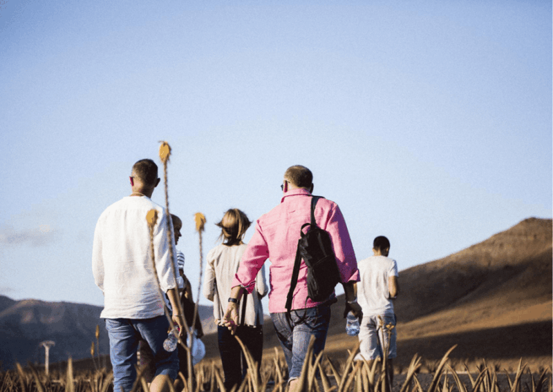 Fuerteventura Organic Farm Guided Tour With Optional Lunch - Exploring the Volcanic Landscape of Fuerteventura
