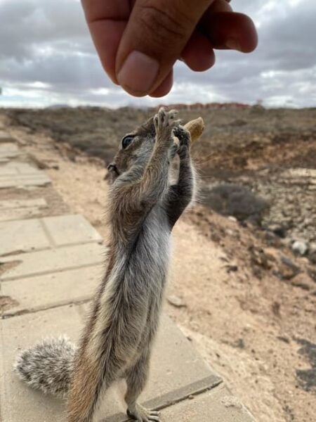Fuerteventura: Popcorn Beach, Lobo Island & Sand Dune Trip - Recommended Gear