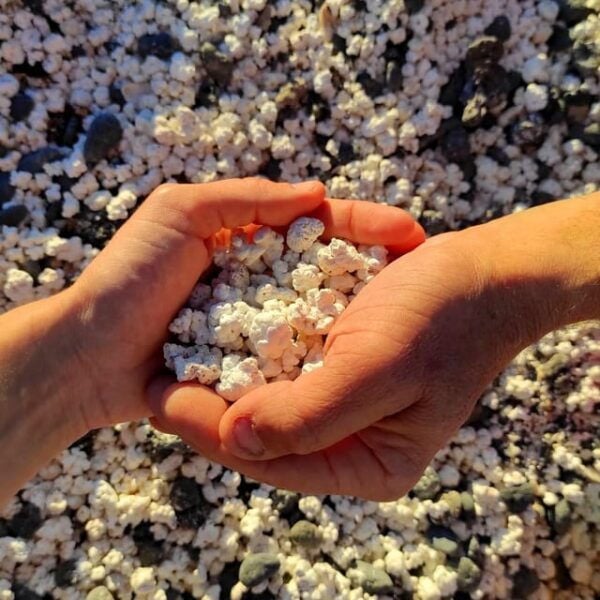 Fuerteventura: Popcorn Beach, Lobo Island & Sand Dune Trip - Safety Considerations