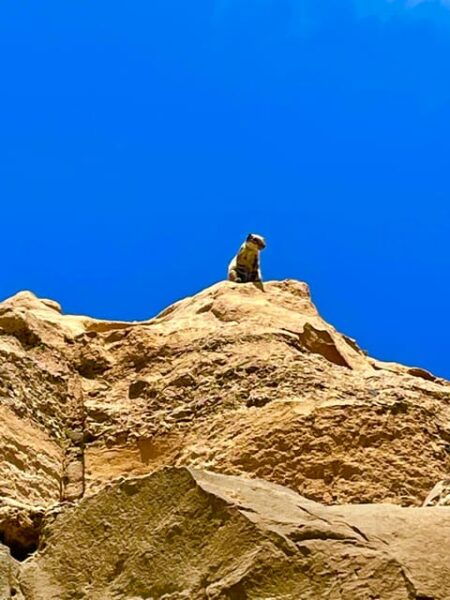 Fuerteventura: PRIVATE Guided Island Tour From the South. - Visiting Ajuy Caves