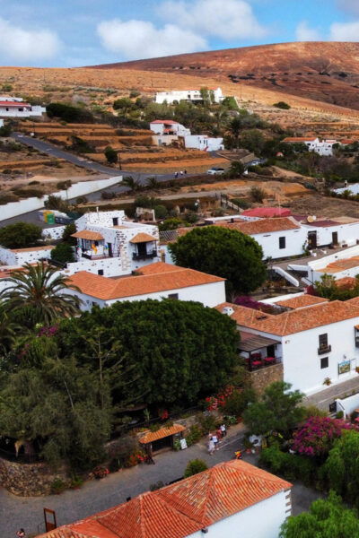 Fuerteventura: PRIVATE Guided Island Tour From the South. - Frequently Asked Questions