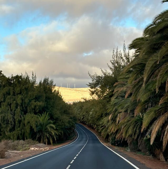 Fuerteventura: SIGHTSEEING Guided NORTH PRIVATE Tour. - Itinerary and Highlights
