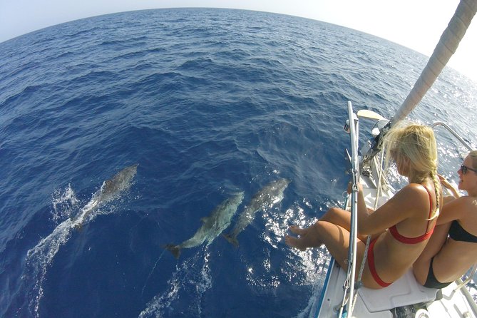 Fuerteventura Small-Group Yacht Cruise With Tapas - Pickup and Transportation Services