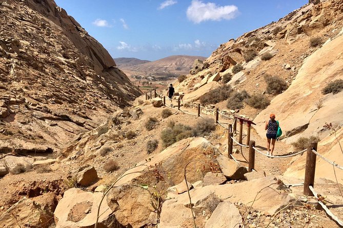 Fuerteventura South Exclusive Tour - Tour Guides Expertise and Customer Recommendations