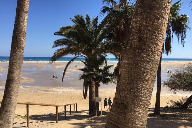Fuerteventura South Exclusive Tour - Common Questions