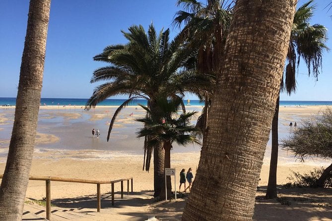Fuerteventura South Exclusive Tour - The Sum Up