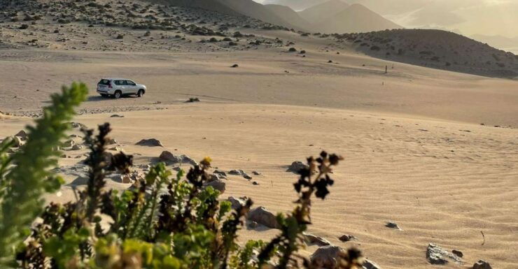 Fuerteventura: Southern Island Sand Dunes & Sunset Jeep Tour - Experience Highlights