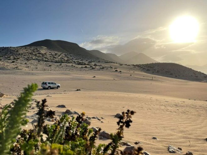 Fuerteventura: Southern Island Sand Dunes & Sunset Jeep Tour - Reviews