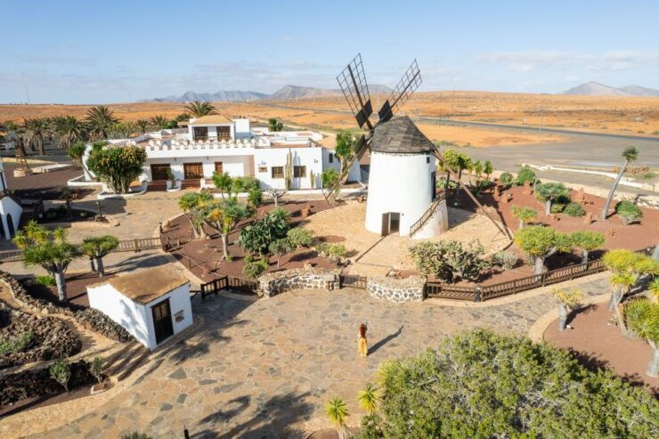 Fuerteventura: Tickets to Salt, Cheese and Windmill Museums - Experience Highlights