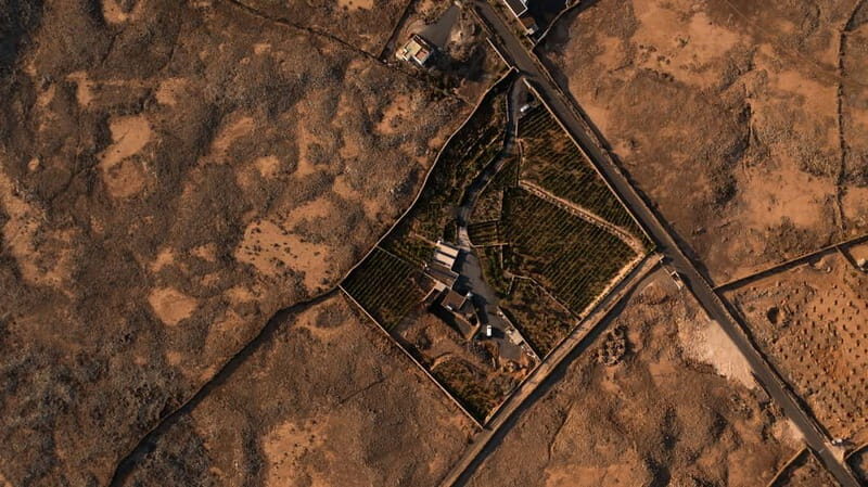 Fuerteventura: Tour & tasting at Conatvs Winery - Practical Details and Tips