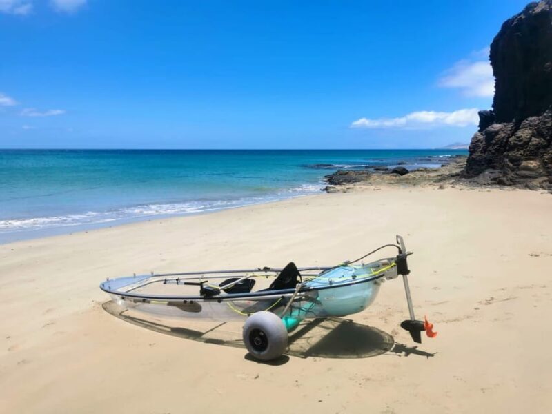 Fuerteventura: Transparent Electric Kayaks with Guide - Final Thoughts: Is This Tour for You?