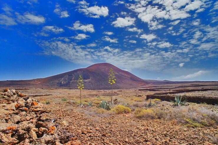 Fuerteventura: Trekking Tour Through the North of the Island - Tour Details