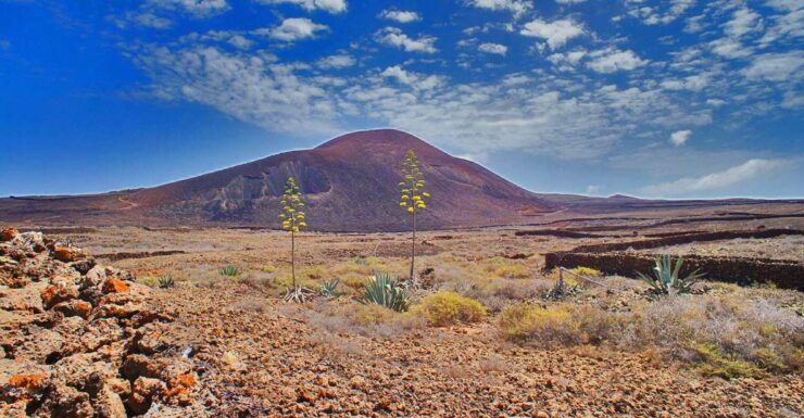 Fuerteventura: Trekking Tour Through the North of the Island - Experience Highlights