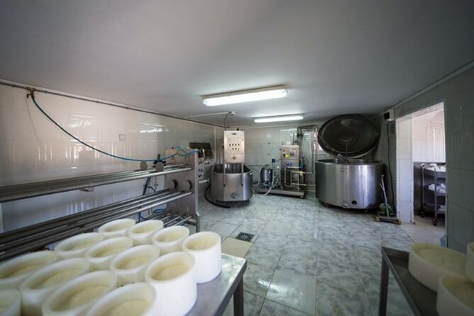 Fuerteventura Villages and Food Tour With Aloe Vera Plantation - Common Questions