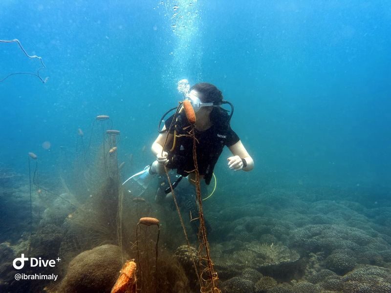 Fujairah 2-Tank Diving Experience from Dubai - Two planned underwater sites, with conditions in charge