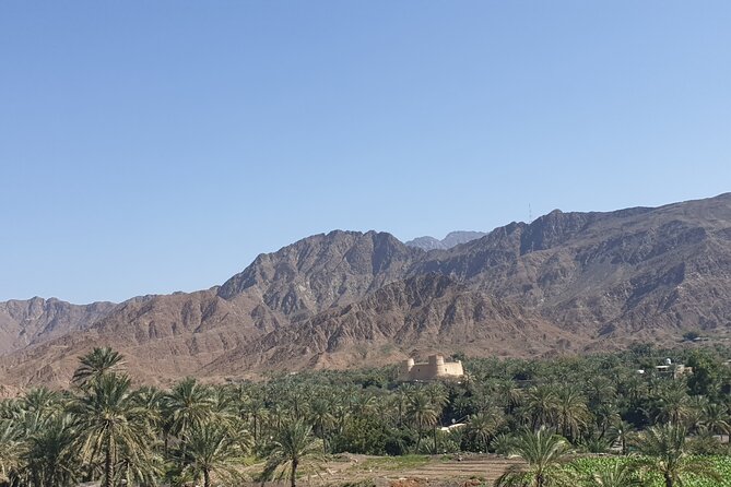 Fujairah Private City Tour From Dubai With Transfer - Transportation and Transfer Details
