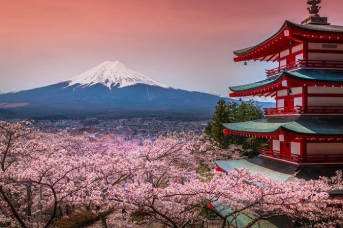 Fuji and Lake Kawaguchi Tour - Booking Details