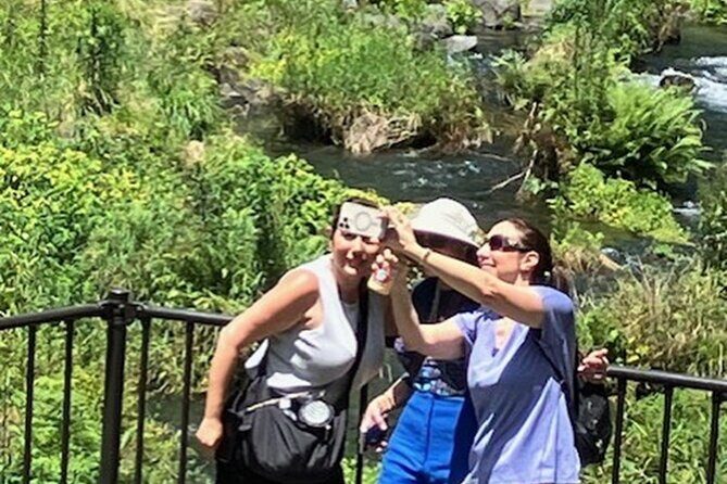 Fuji Area Cultural Highlights Day Tour from Shimizu Port by Car - A Closer Look at the Itinerary and Highlights