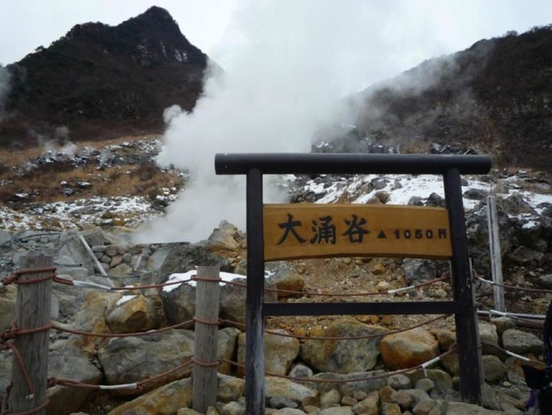 Fuji Hakone Day Trip | Hakone Pirate Ship, Hakone Ropeway, Hakone Shrine, Stroll Enoshima | Departure from Tokyo Shinjuku - Enoshima: sea air and a two-hour walk