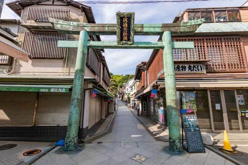 Fuji Hakone Day Trip | Hakone Pirate Ship, Hakone Ropeway, Hakone Shrine, Stroll Enoshima | Departure from Tokyo Shinjuku - Guide service, weather and useful limits