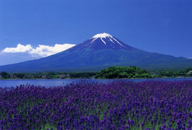 Fuji/Hakone Private Tour, English speaking guide, Photograph - Final Thoughts
