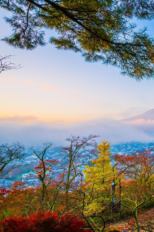 Fuji/Hakone Private Tour, English speaking guide, Photograph - What to Expect from the Tour