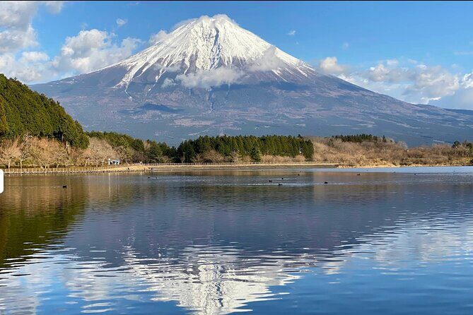 Fuji Highlights Group Car Tour by Shimizu Port with Local Guide - Good To Know
