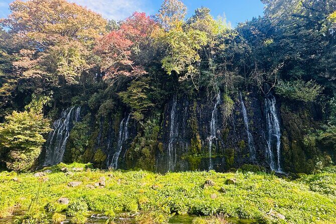 Fuji Highlights Group Car Tour by Shimizu Port with Local Guide - The Sum Up