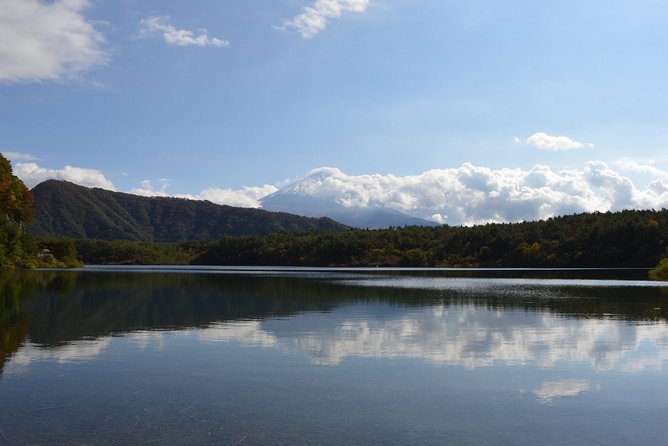Fuji Kawaguchiko Hakone Private Car Tour - Tour Highlights
