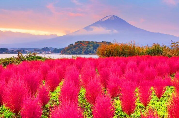 Fuji Kawaguchiko, Hot Spring, Wind & Ice Cave Adventure Day - Itinerary Highlights
