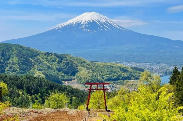 Fuji Kawaguchiko, Hot Spring, Wind & Ice Cave Adventure Day - Customer Reviews and Feedback