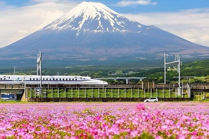 Fuji-Q Highland Amusement Park Private Tour with English Driver - The Sum Up