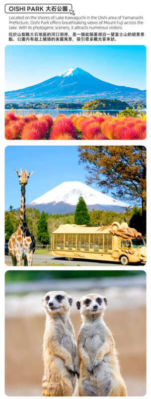 Fuji Safari Park, Oshino Hakkai, and Lake Kawaguchiko Oishi Park Flower Viewing Day Trip for Families (Round Trip from Tokyo Shinjuku) - Oshino Hakkai: clear water and village lanes