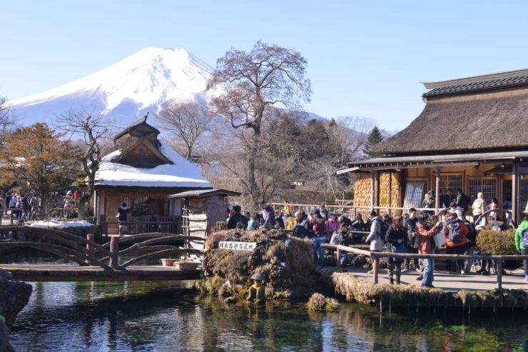 Fuji Sightseeing Tour (With English/Japanese Speaking Guide) - Good To Know