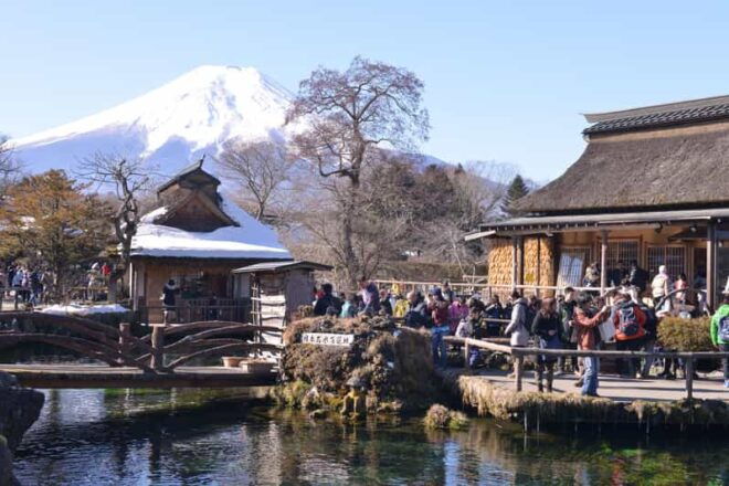 Fuji Sightseeing Tour (With English/Japanese Speaking Guide) - Tour Highlights