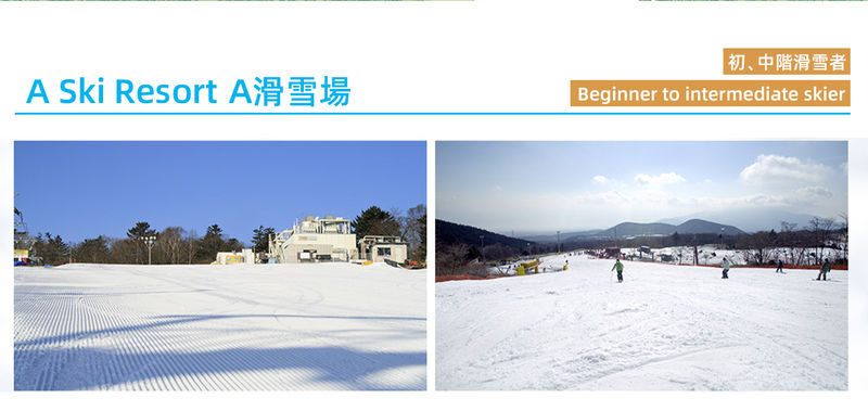 Fuji Snow Resort Yeti & Onsen Full-Day Tour - Guides, timing, and the return journey
