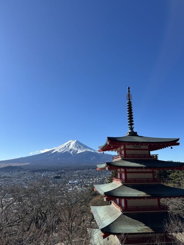 Fuji Speedway & Mount Fuji Private Half-Day Experience - Why this is more than a Fuji photo stop