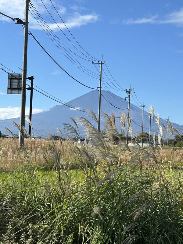 Fuji Speedway & Mount Fuji Private Half-Day Experience - Who is likely to enjoy this outing