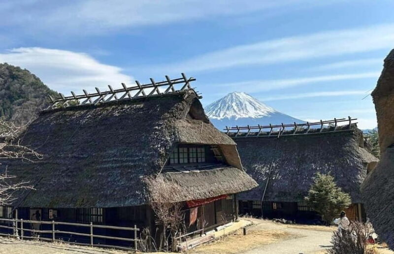 Fuji Spiritual Private Tour with Lunch and Dinner - Why This Tour Is a Great Fit