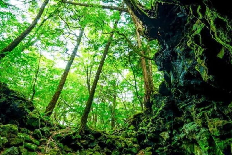 Fuji Spiritual Private Tour with Lunch and Dinner - FAQ