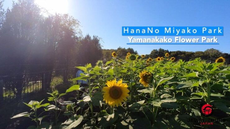 Fuji Yamanaka Lake. Oshino Hakkai and Local Noodles - Good To Know