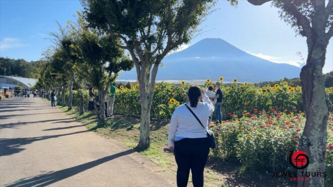 Fuji Yamanaka Lake. Oshino Hakkai and Local Noodles - Experience Highlights