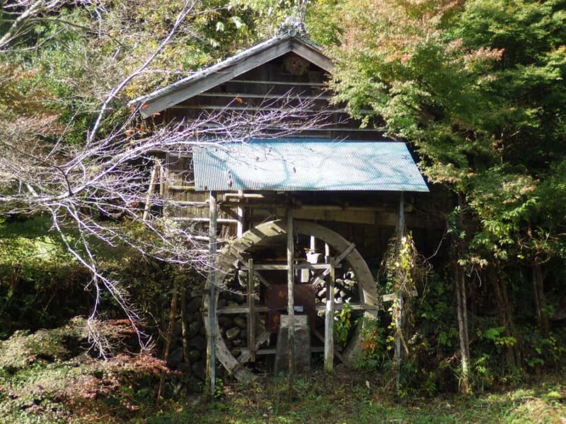 Fujieda: Suisha-mura Traditional Japanese Cooking Experience - Authentic Reviews and Insights